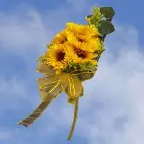 2-cr-sunflowers